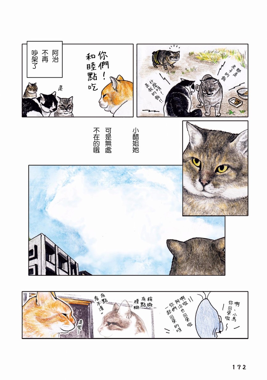 《俺、对马》漫画最新章节第47话免费下拉式在线观看章节第【23】张图片