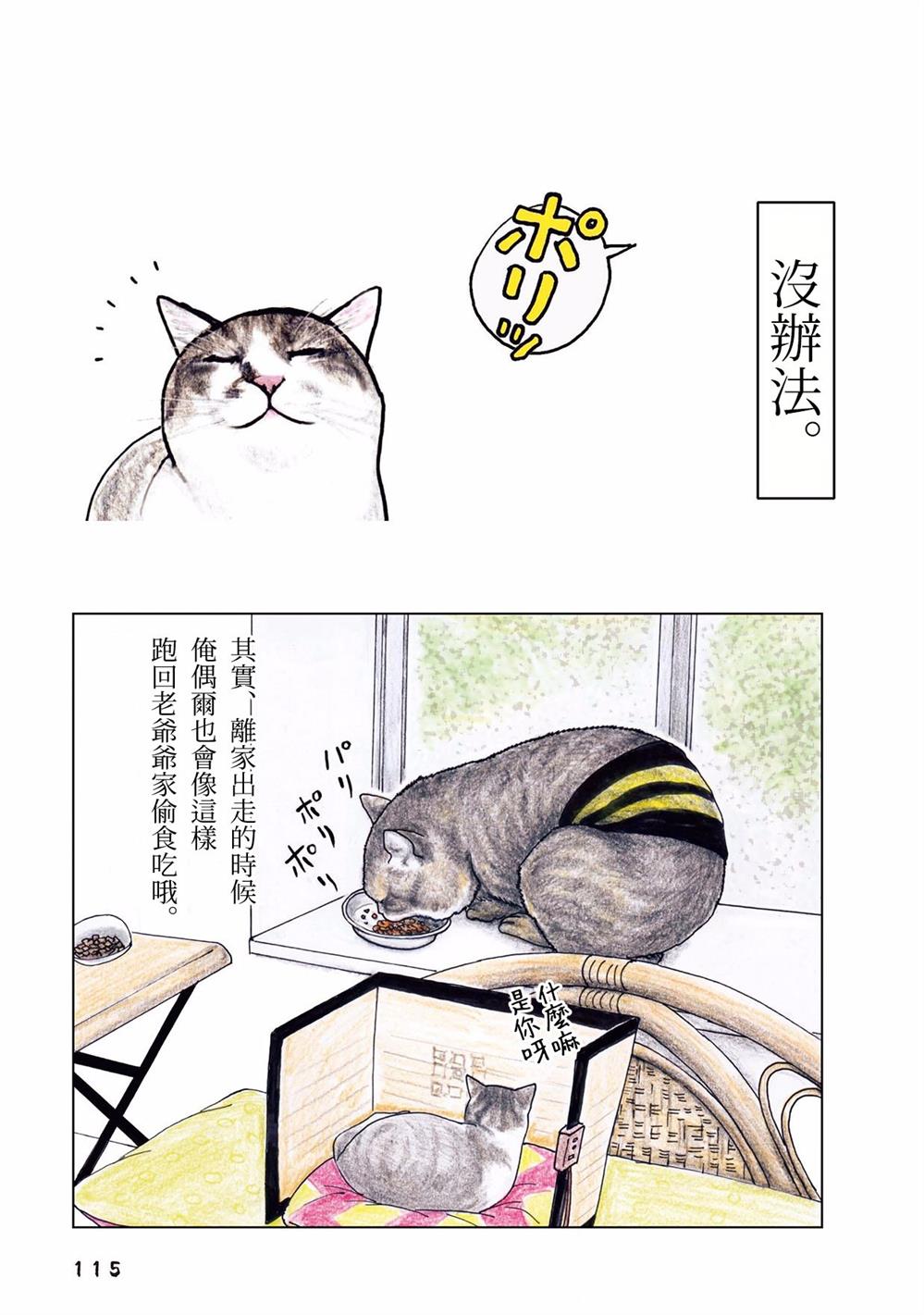 《俺、对马》漫画最新章节第35话免费下拉式在线观看章节第【17】张图片