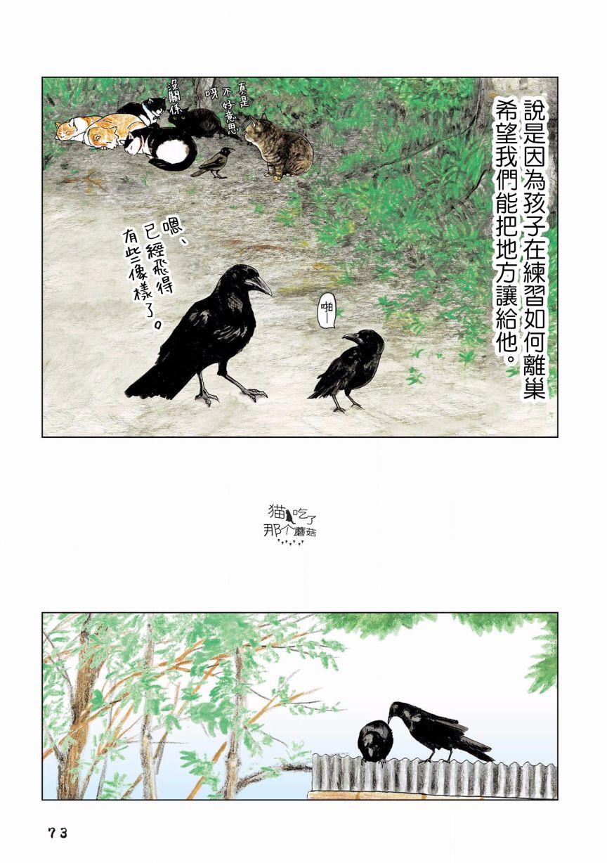 《俺、对马》漫画最新章节第109话免费下拉式在线观看章节第【5】张图片