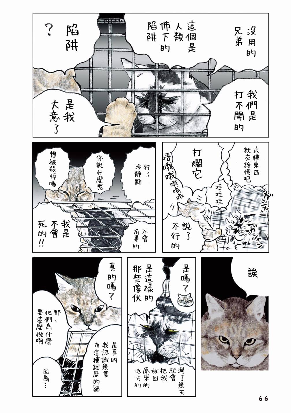 《俺、对马》漫画最新章节第55话免费下拉式在线观看章节第【38】张图片