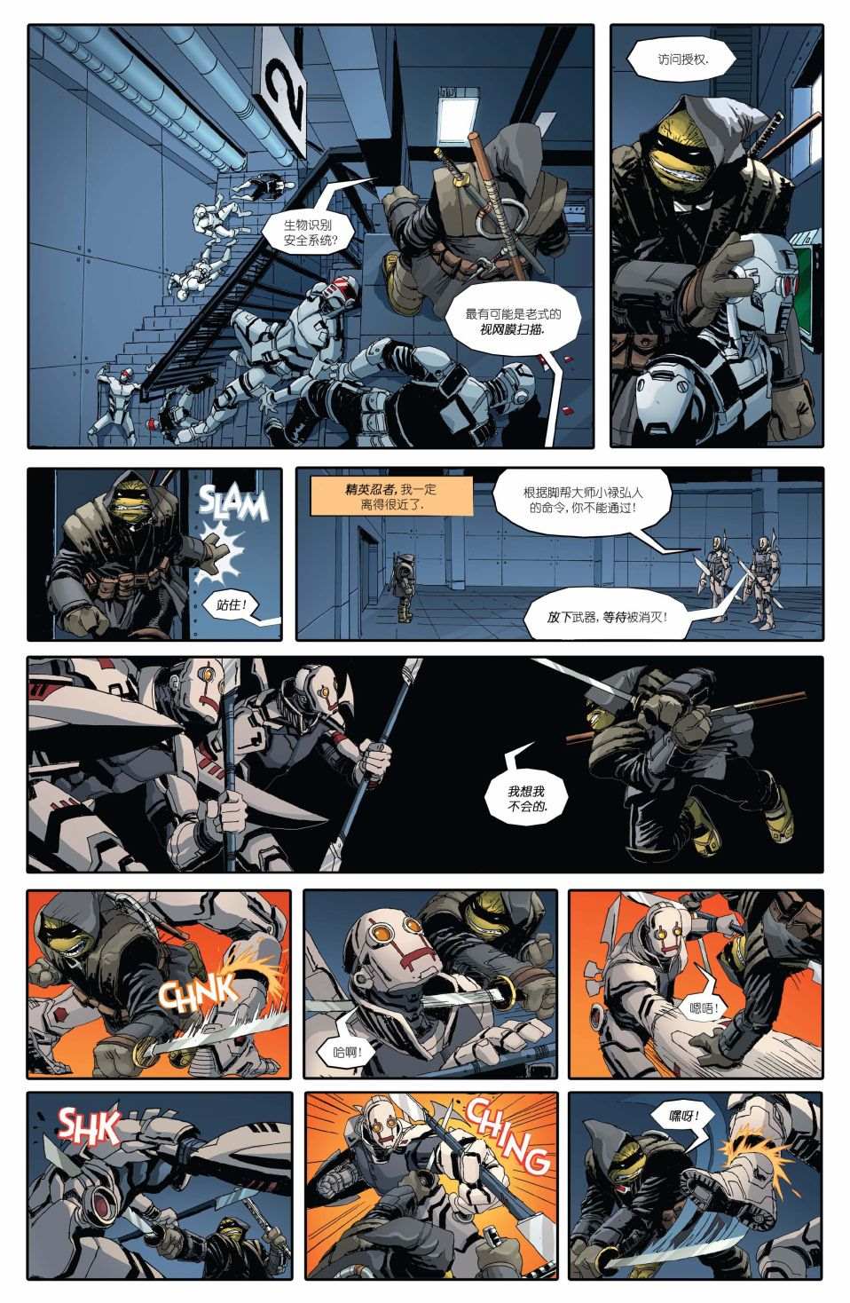 《忍者神龟：最后的浪人》漫画最新章节第1话免费下拉式在线观看章节第【28】张图片