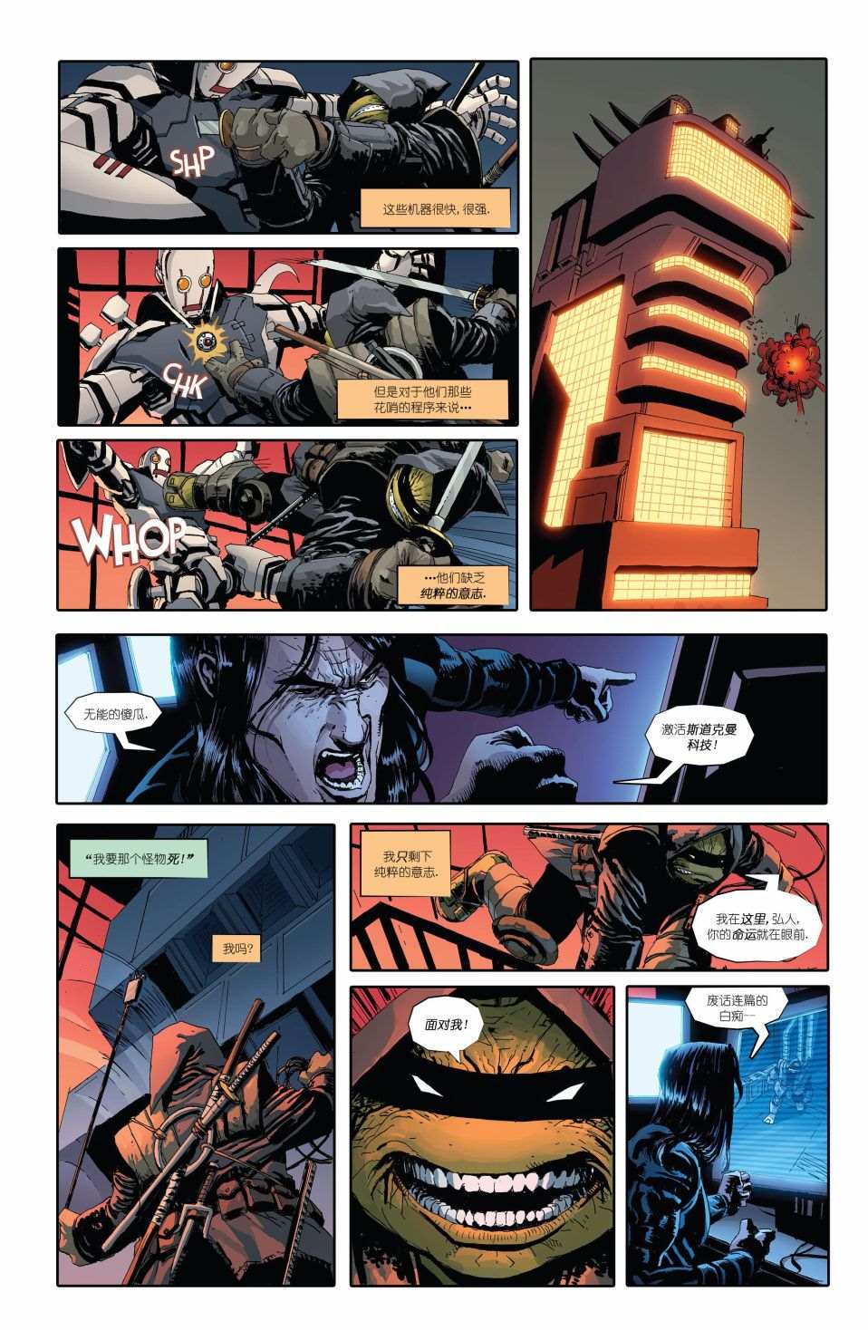 《忍者神龟：最后的浪人》漫画最新章节第1话免费下拉式在线观看章节第【29】张图片