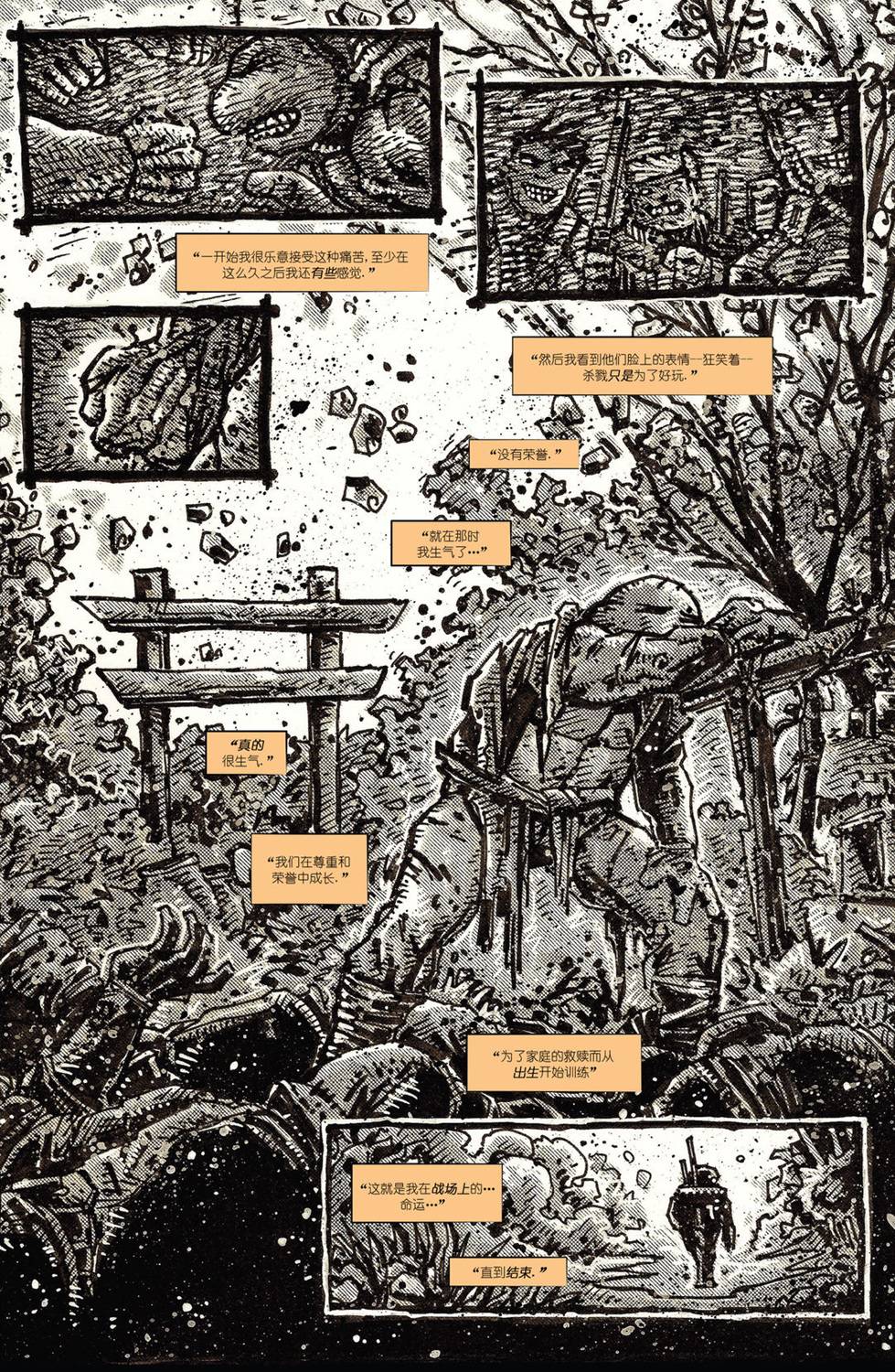 《忍者神龟：最后的浪人》漫画最新章节第2话免费下拉式在线观看章节第【38】张图片