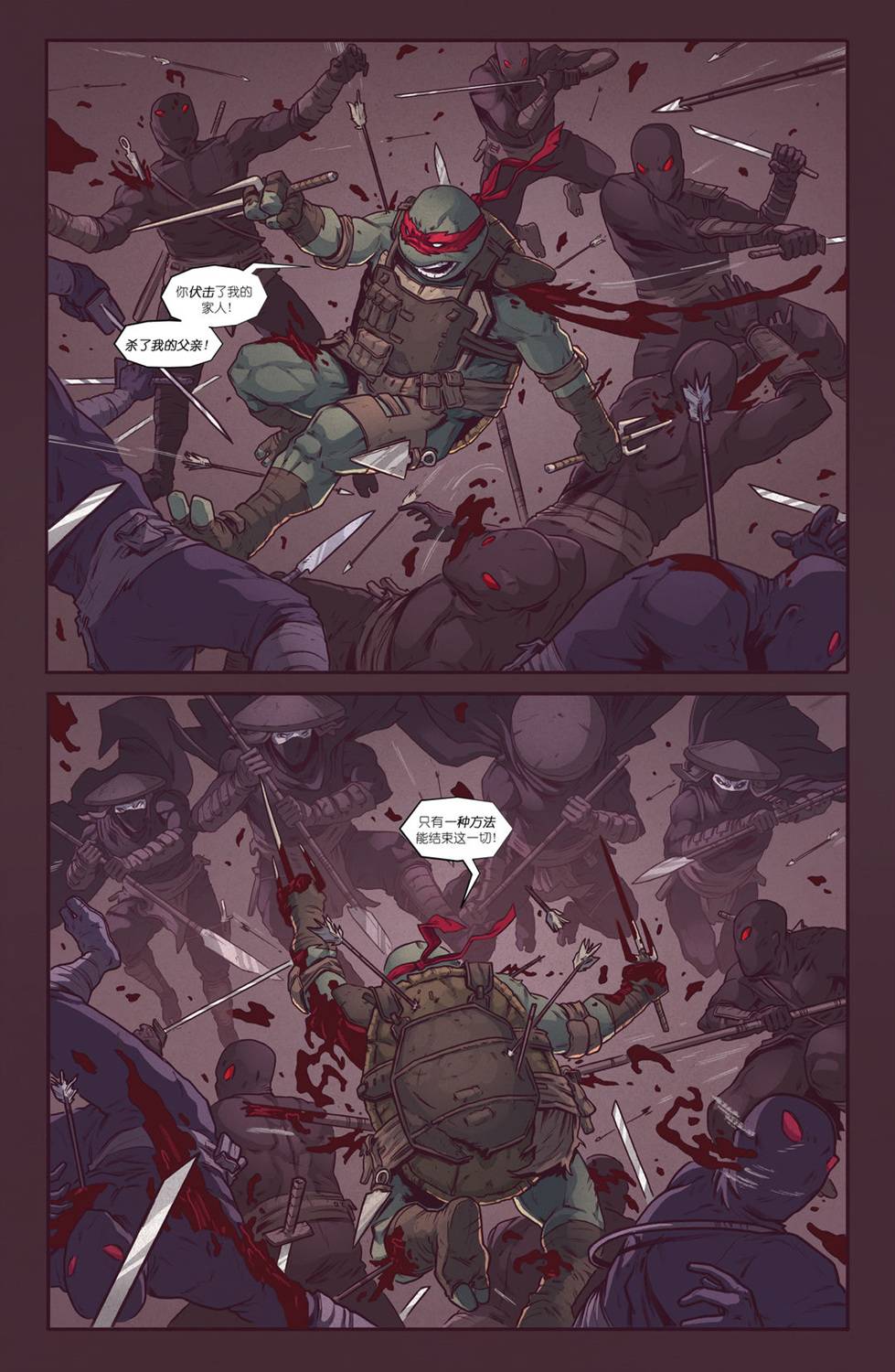 《忍者神龟：最后的浪人》漫画最新章节第2话免费下拉式在线观看章节第【19】张图片