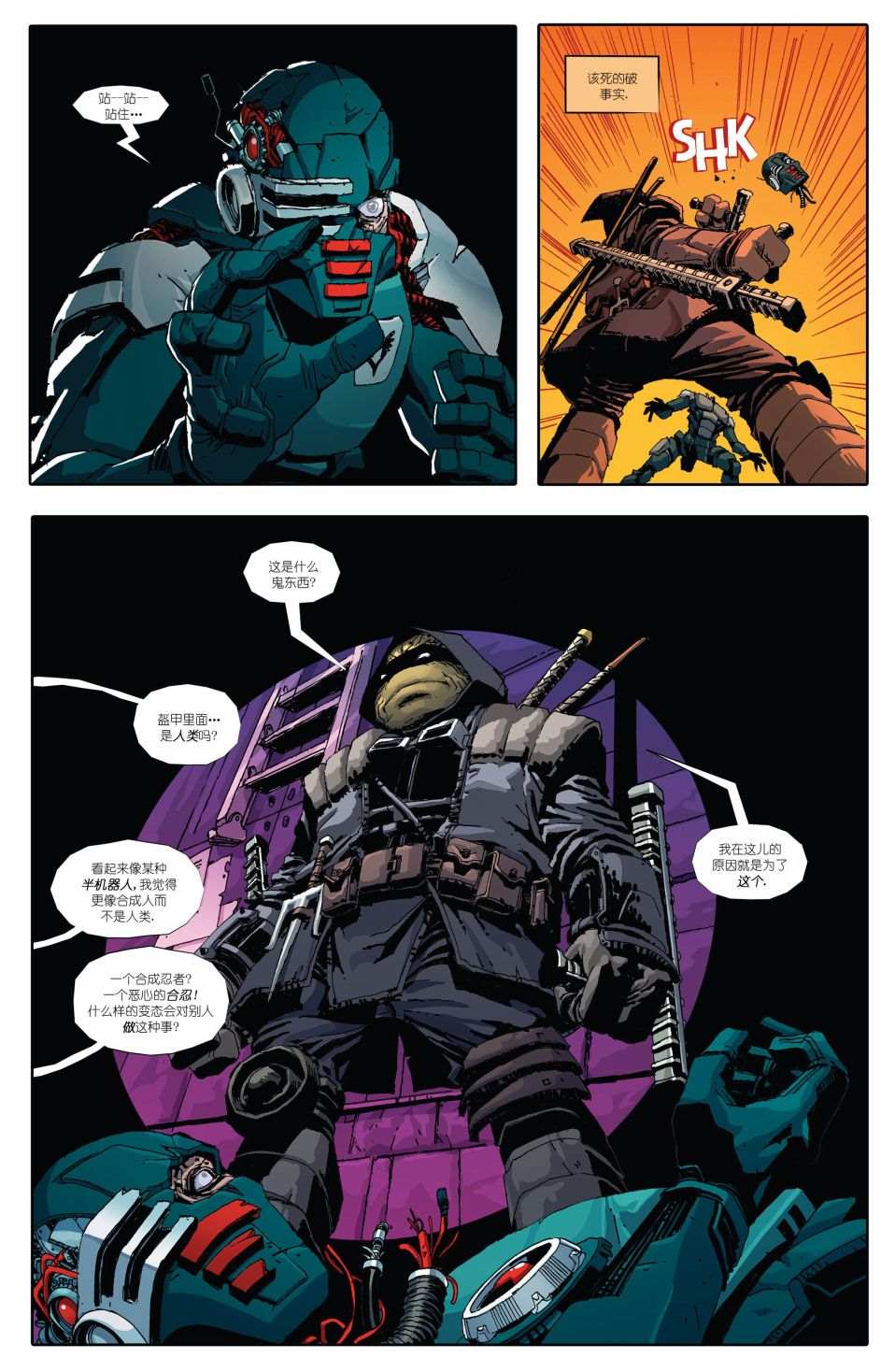 《忍者神龟：最后的浪人》漫画最新章节第1话免费下拉式在线观看章节第【15】张图片