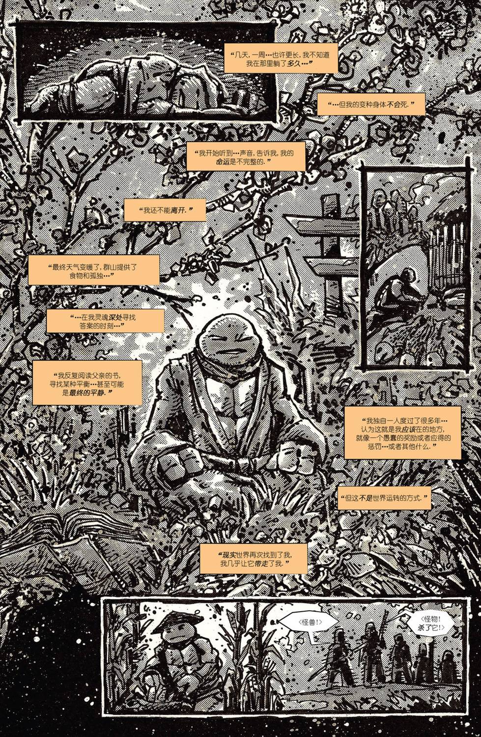 《忍者神龟：最后的浪人》漫画最新章节第2话免费下拉式在线观看章节第【37】张图片