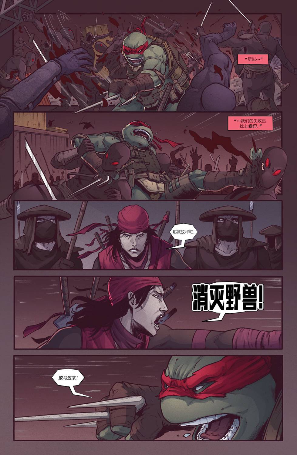 《忍者神龟：最后的浪人》漫画最新章节第2话免费下拉式在线观看章节第【17】张图片