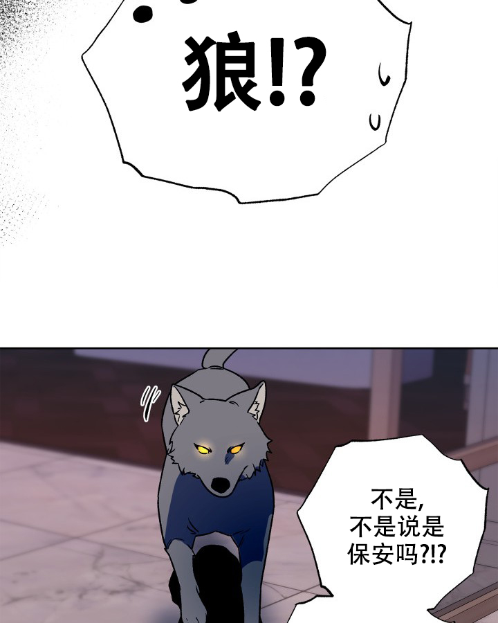 《未来的浪漫》漫画最新章节第2话免费下拉式在线观看章节第【24】张图片