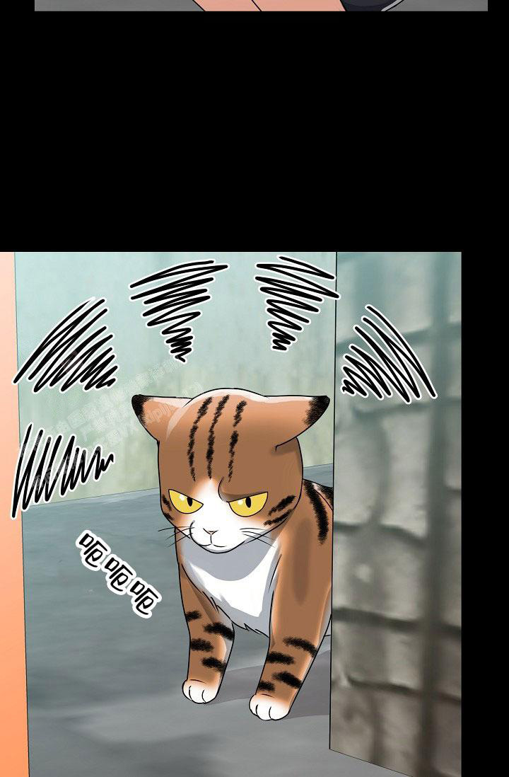 《 虎穴》漫画最新章节第24话免费下拉式在线观看章节第【39】张图片