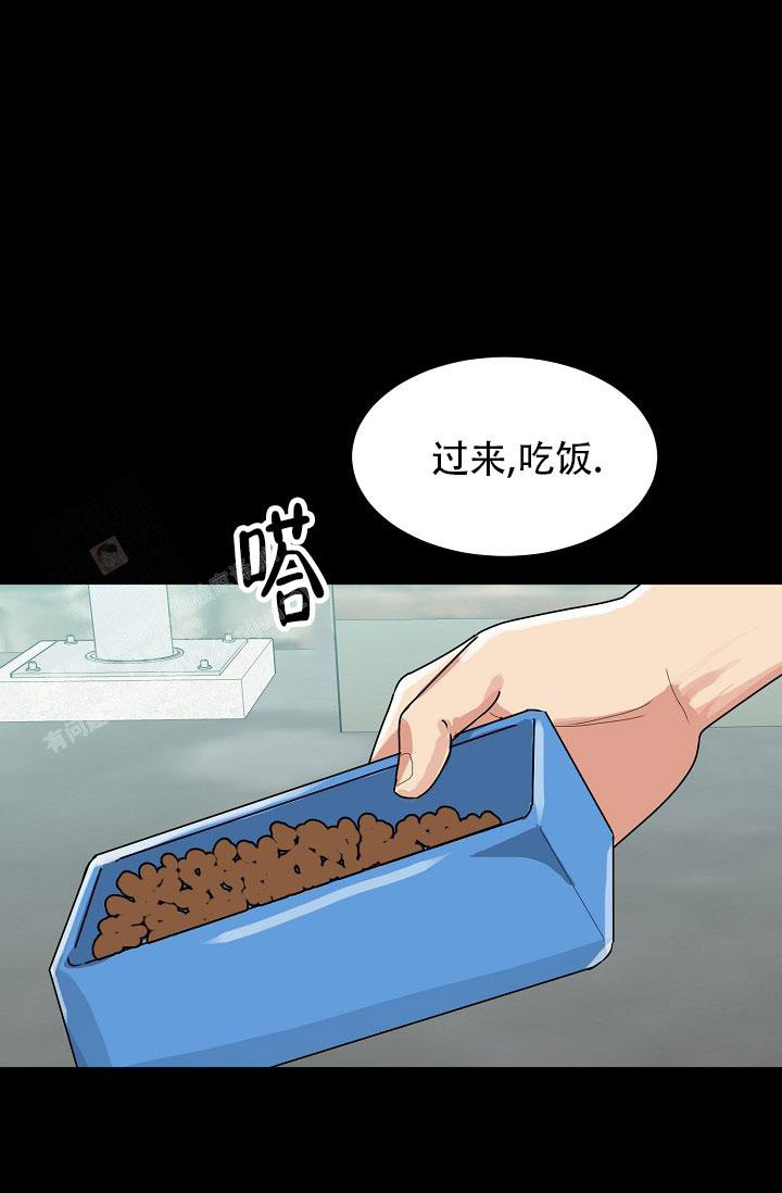 《 虎穴》漫画最新章节第24话免费下拉式在线观看章节第【37】张图片