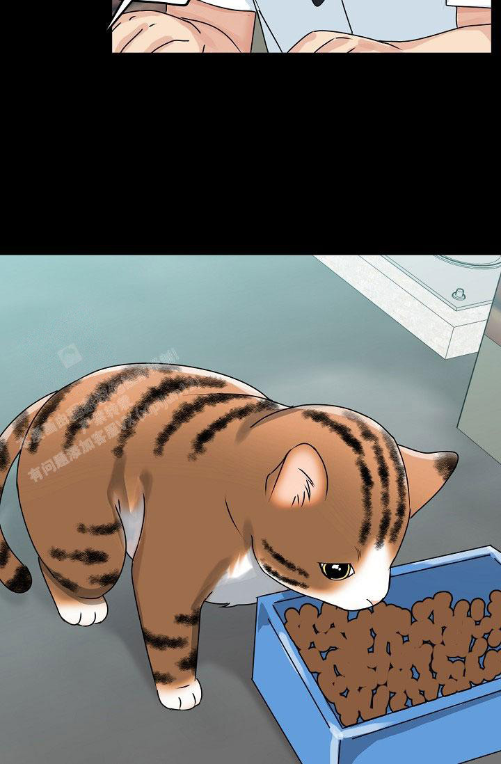 《 虎穴》漫画最新章节第24话免费下拉式在线观看章节第【42】张图片