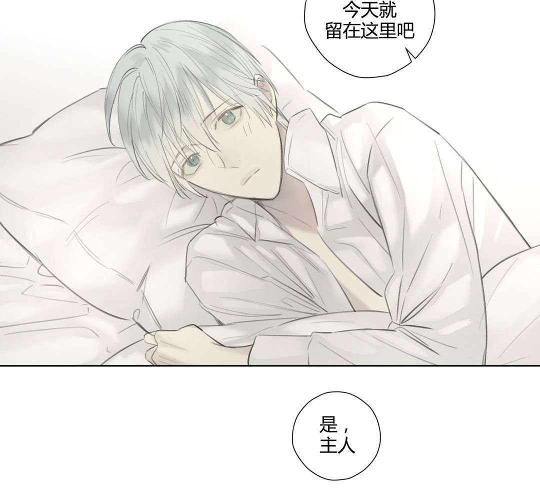 《皇家执事/王室仆役》漫画最新章节第51话免费下拉式在线观看章节第【17】张图片