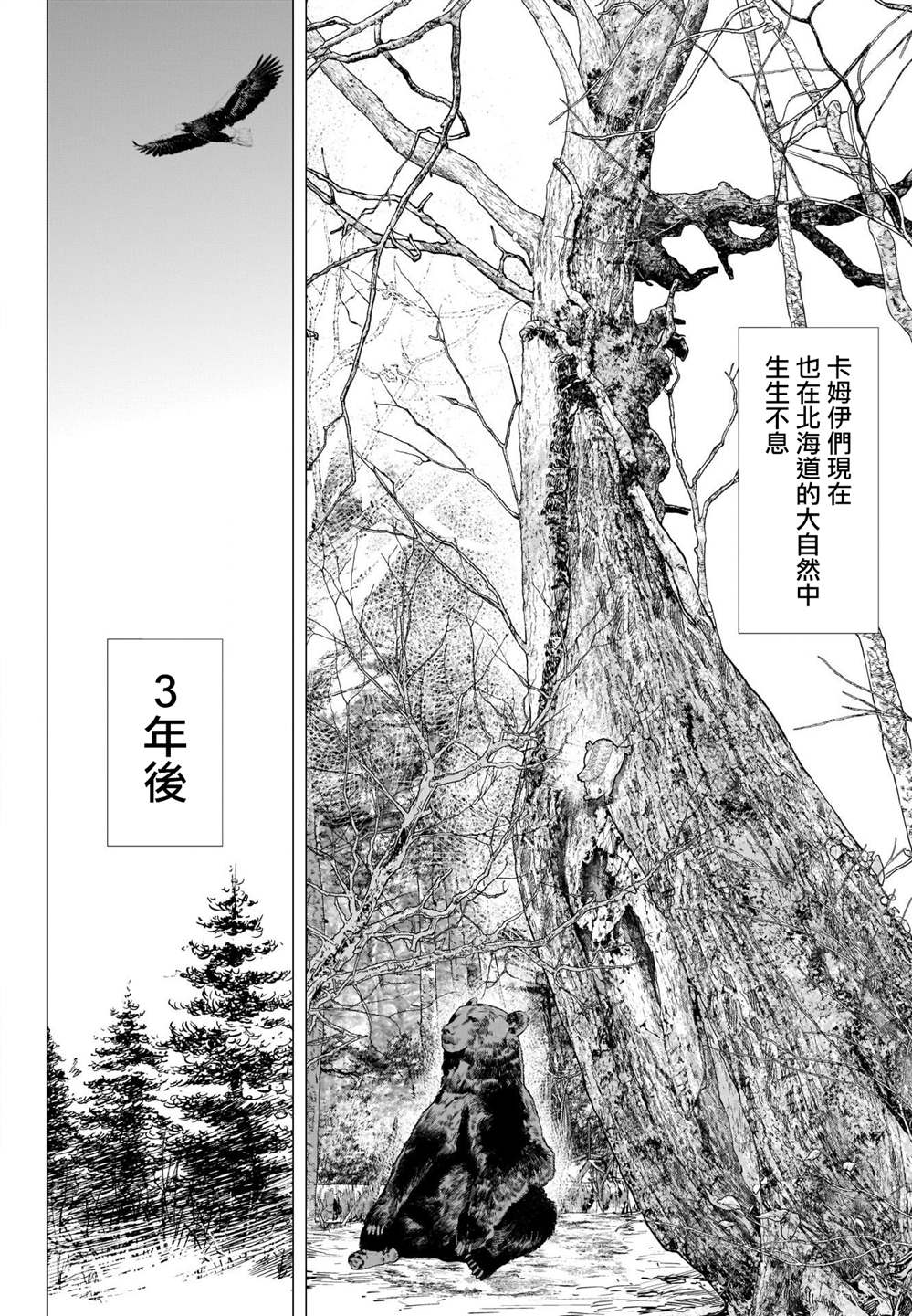 《黄金神威》漫画最新章节第314话 大团圆免费下拉式在线观看章节第【21】张图片