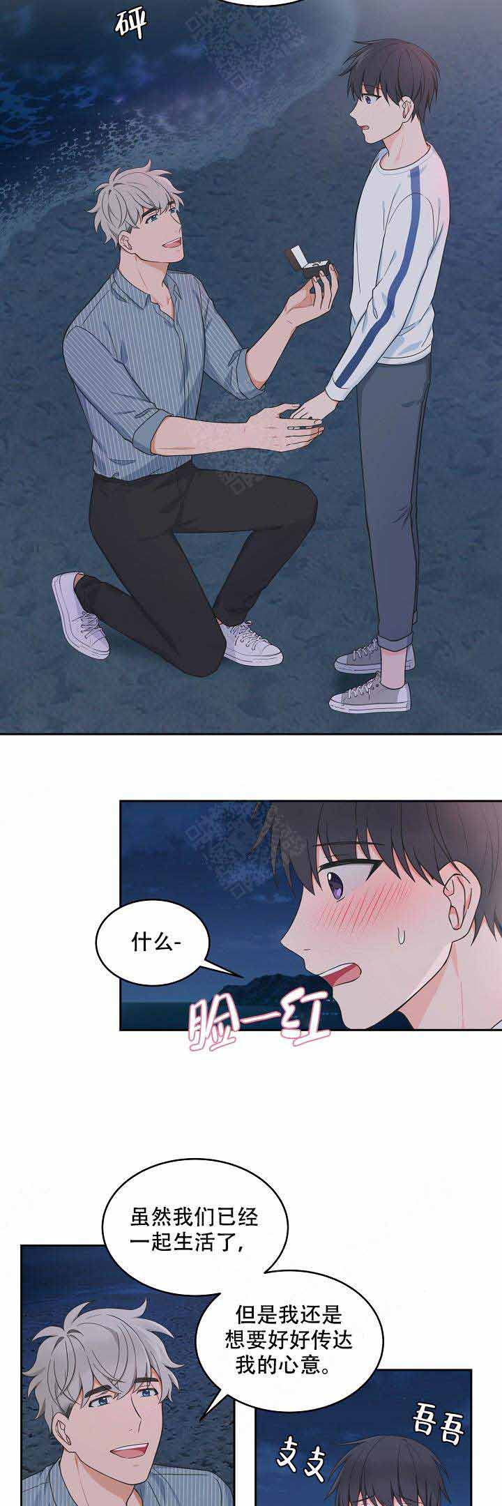 《坐下，等等，kiss》漫画最新章节第90话免费下拉式在线观看章节第【5】张图片