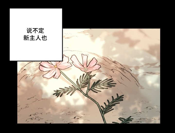 《猫的项圈》漫画最新章节第50话免费下拉式在线观看章节第【1】张图片