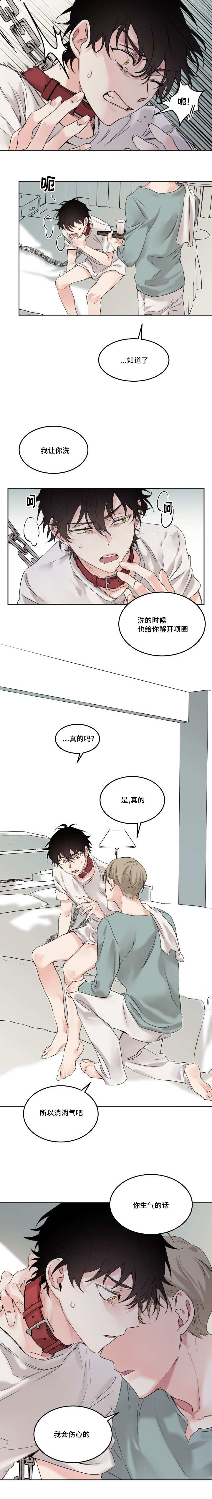 《猫的项圈》漫画最新章节第7话免费下拉式在线观看章节第【3】张图片