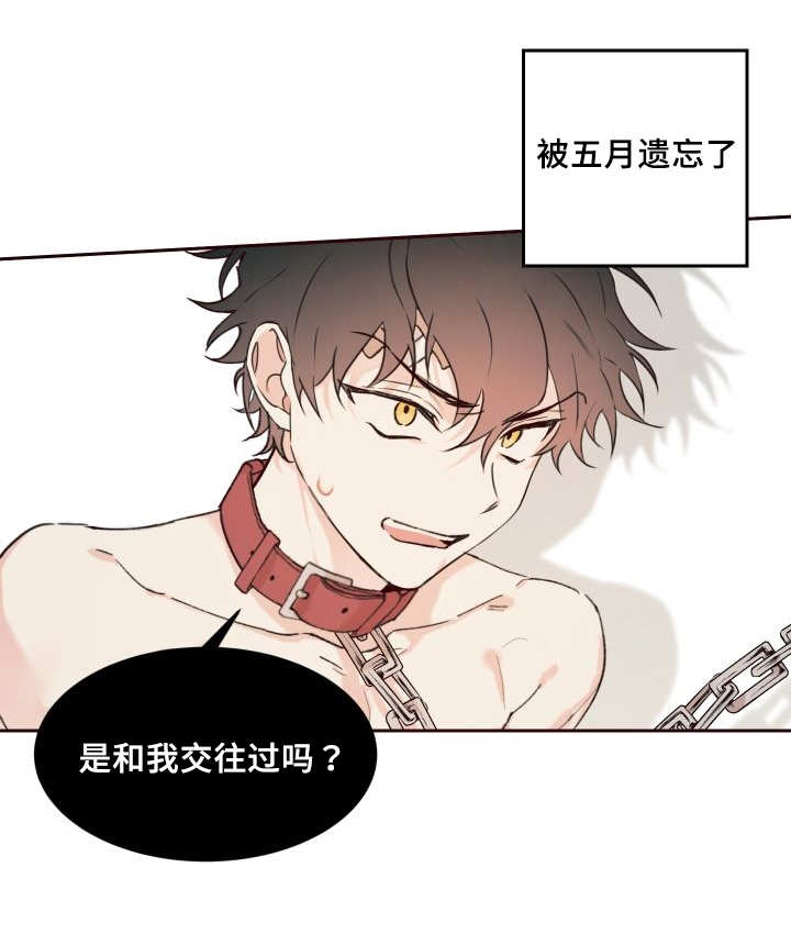 《猫的项圈》漫画最新章节第34话免费下拉式在线观看章节第【39】张图片