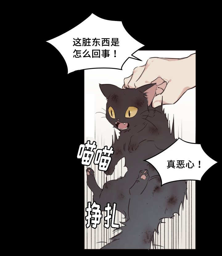 《猫的项圈》漫画最新章节第26话免费下拉式在线观看章节第【41】张图片