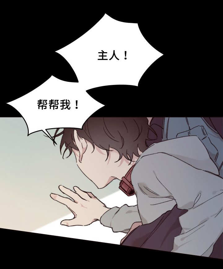 《猫的项圈》漫画最新章节第35话免费下拉式在线观看章节第【25】张图片