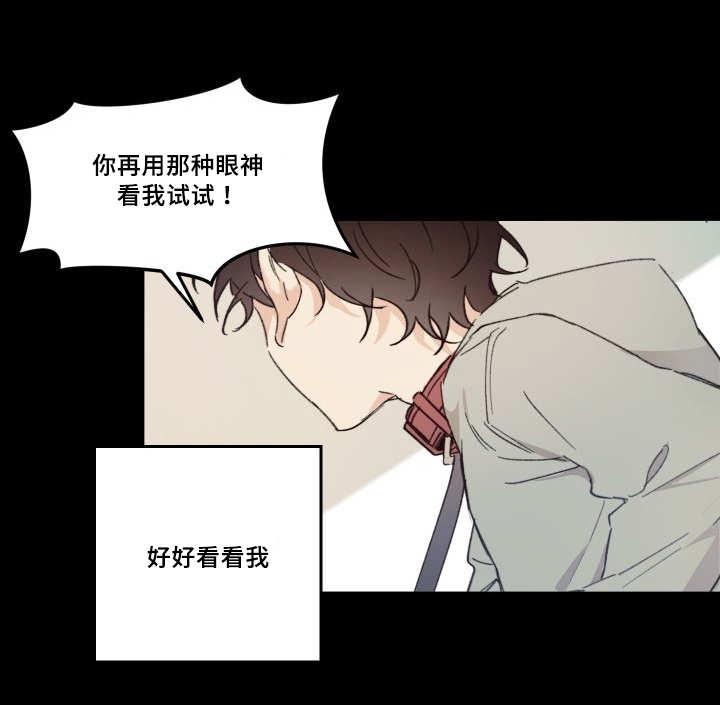 《猫的项圈》漫画最新章节第47话免费下拉式在线观看章节第【31】张图片