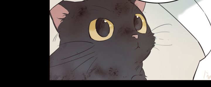 《猫的项圈》漫画最新章节第26话免费下拉式在线观看章节第【33】张图片