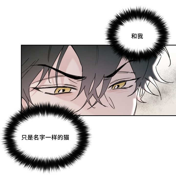 《猫的项圈》漫画最新章节第30话免费下拉式在线观看章节第【25】张图片