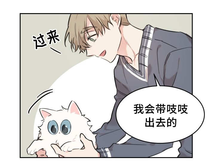 《猫的项圈》漫画最新章节第29话免费下拉式在线观看章节第【37】张图片