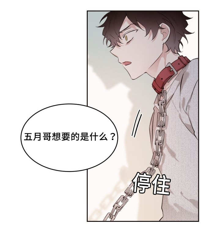 《猫的项圈》漫画最新章节第29话免费下拉式在线观看章节第【5】张图片