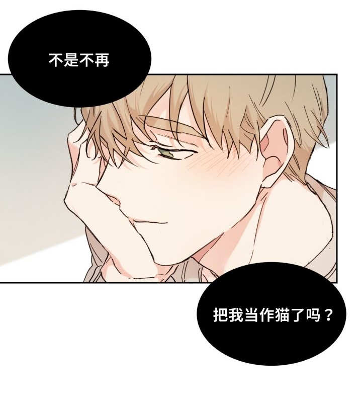 《猫的项圈》漫画最新章节第34话免费下拉式在线观看章节第【25】张图片