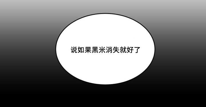 《猫的项圈》漫画最新章节第45话免费下拉式在线观看章节第【21】张图片