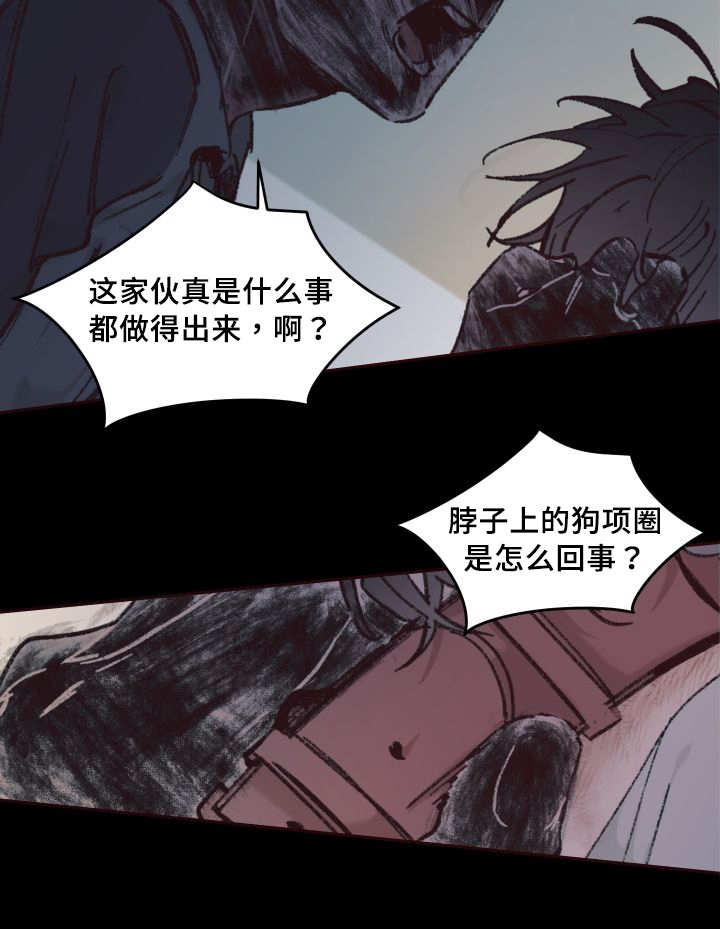 《猫的项圈》漫画最新章节第35话免费下拉式在线观看章节第【29】张图片