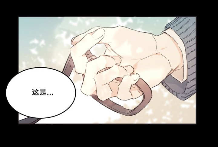 《猫的项圈》漫画最新章节第47话免费下拉式在线观看章节第【7】张图片