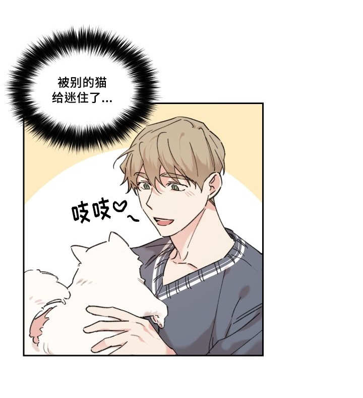 《猫的项圈》漫画最新章节第30话免费下拉式在线观看章节第【13】张图片