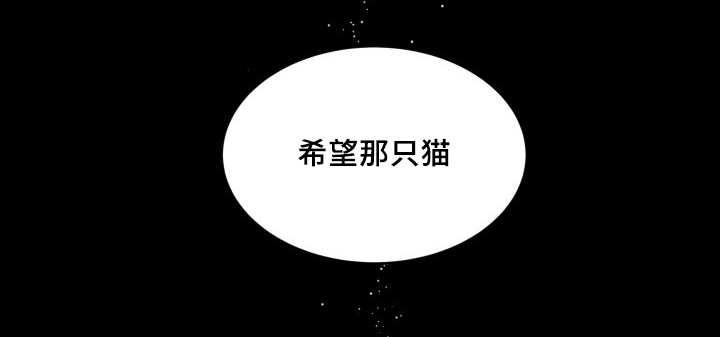 《猫的项圈》漫画最新章节第46话免费下拉式在线观看章节第【13】张图片