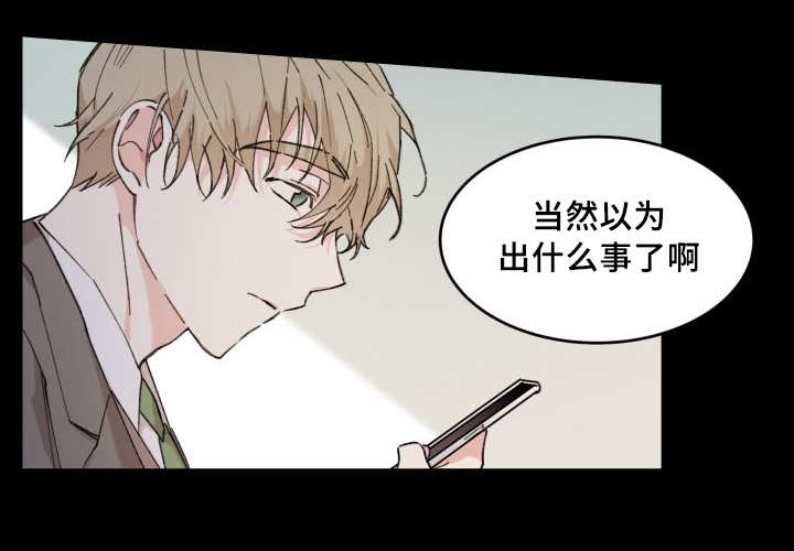 《猫的项圈》漫画最新章节第36话免费下拉式在线观看章节第【27】张图片