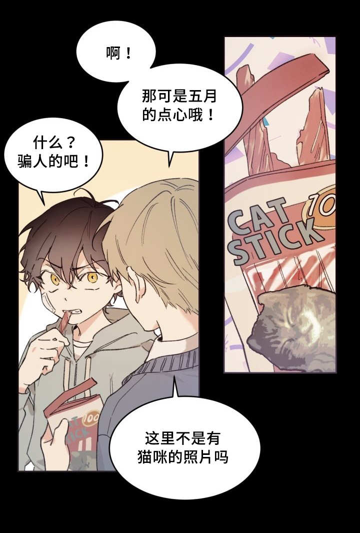 《猫的项圈》漫画最新章节第46话免费下拉式在线观看章节第【55】张图片