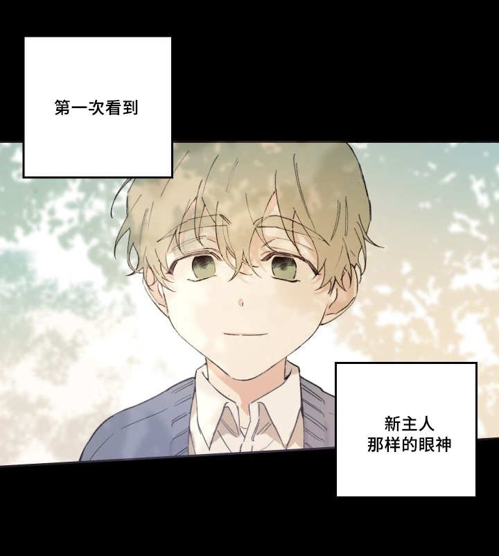 《猫的项圈》漫画最新章节第47话免费下拉式在线观看章节第【19】张图片