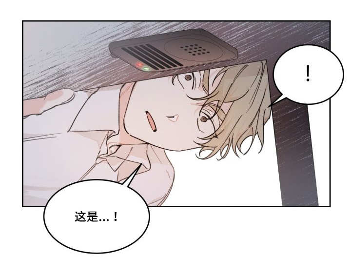 《猫的项圈》漫画最新章节第48话免费下拉式在线观看章节第【39】张图片