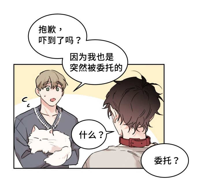 《猫的项圈》漫画最新章节第27话免费下拉式在线观看章节第【29】张图片