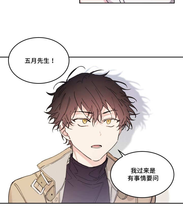 《猫的项圈》漫画最新章节第49话免费下拉式在线观看章节第【7】张图片