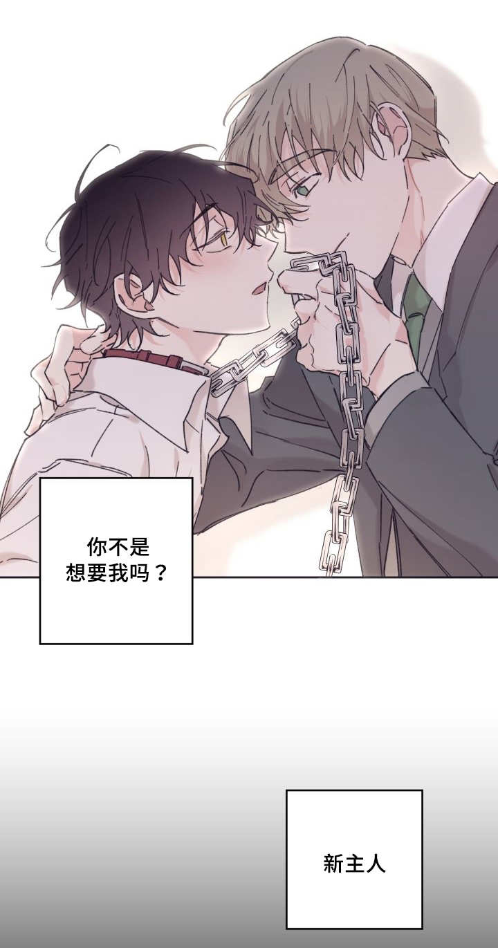 《猫的项圈》漫画最新章节第31话免费下拉式在线观看章节第【15】张图片