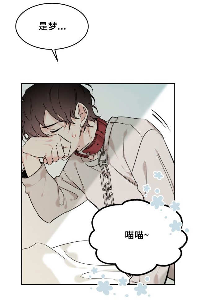 《猫的项圈》漫画最新章节第27话免费下拉式在线观看章节第【17】张图片