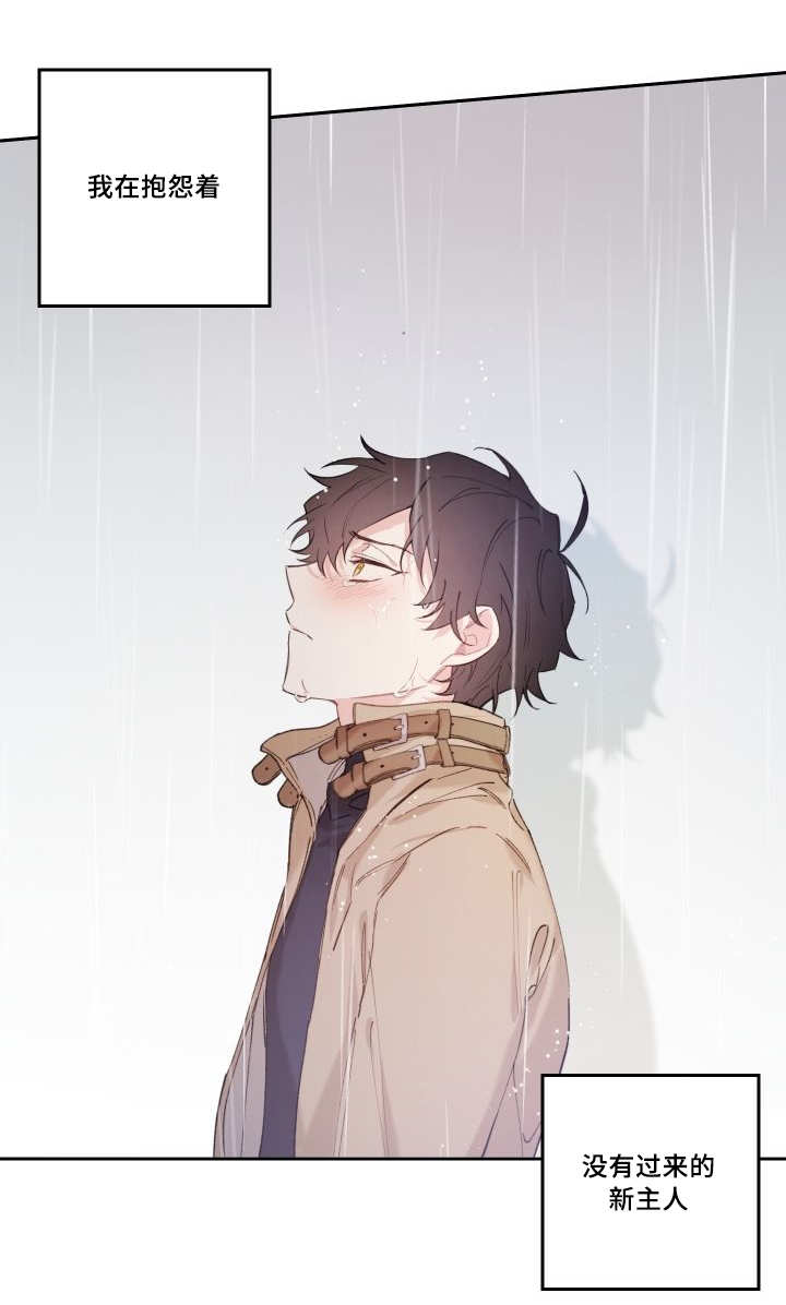 《猫的项圈》漫画最新章节第49话免费下拉式在线观看章节第【47】张图片