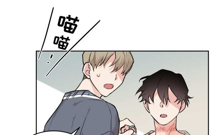 《猫的项圈》漫画最新章节第29话免费下拉式在线观看章节第【33】张图片