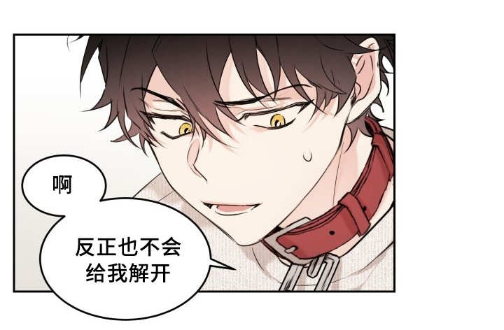 《猫的项圈》漫画最新章节第29话免费下拉式在线观看章节第【19】张图片