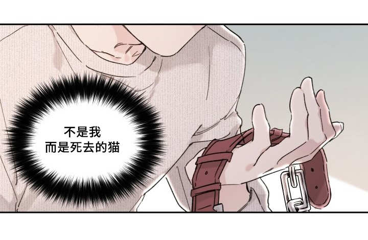 《猫的项圈》漫画最新章节第30话免费下拉式在线观看章节第【23】张图片