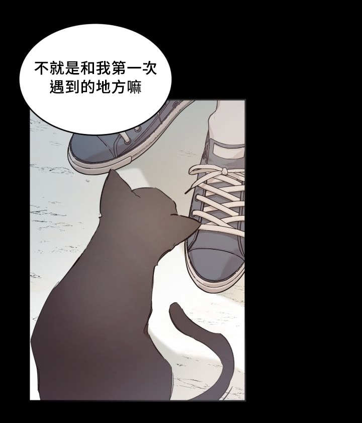 《猫的项圈》漫画最新章节第46话免费下拉式在线观看章节第【21】张图片