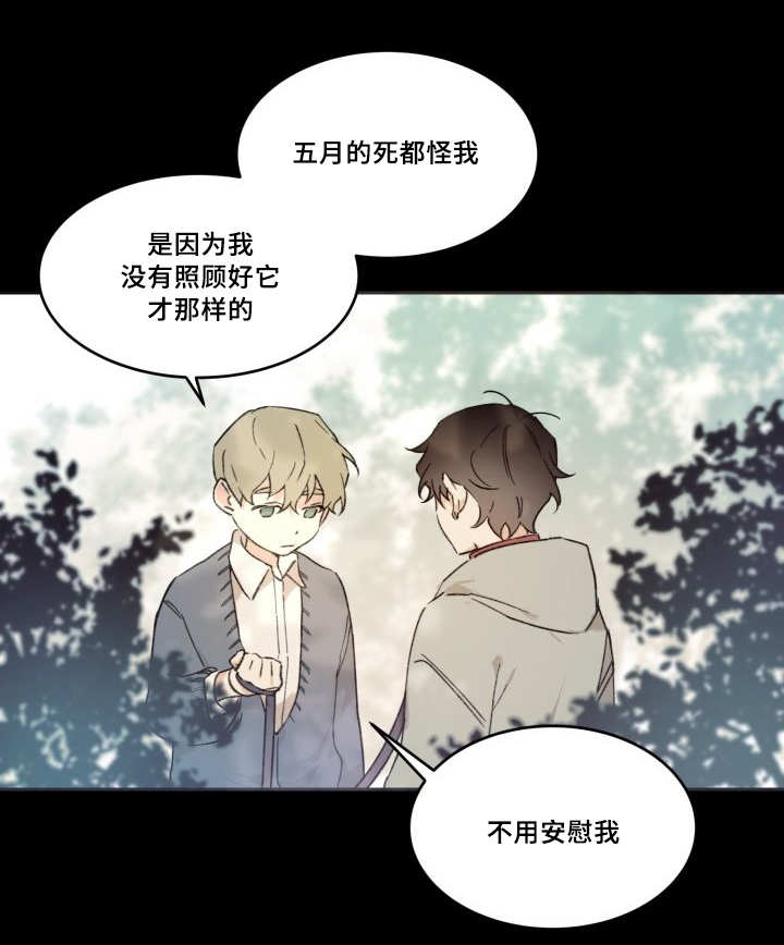 《猫的项圈》漫画最新章节第47话免费下拉式在线观看章节第【17】张图片