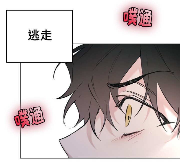 《猫的项圈》漫画最新章节第29话免费下拉式在线观看章节第【25】张图片