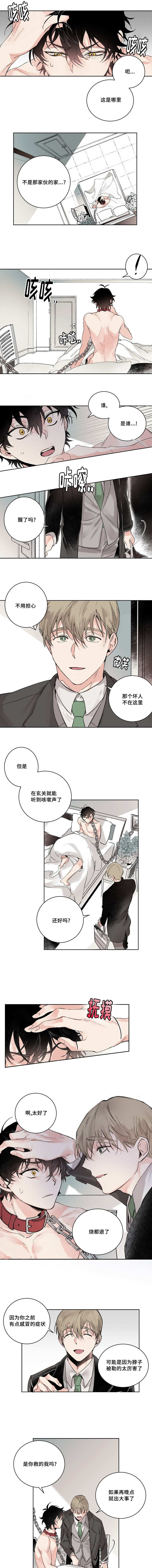 《猫的项圈》漫画最新章节第2话免费下拉式在线观看章节第【1】张图片